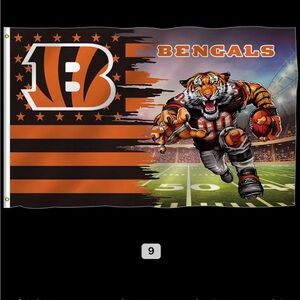 Cincinnati Bengals Football Team Flag
